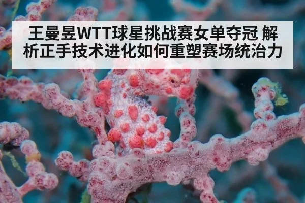 王曼昱WTT球星挑战赛女单夺冠 解析正手技术进化如何重塑赛场统治力
