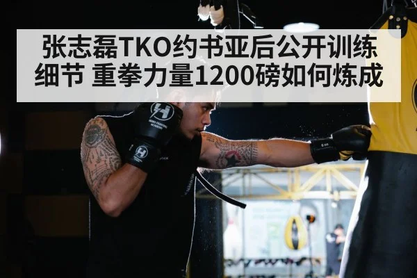 boxing heavy punch